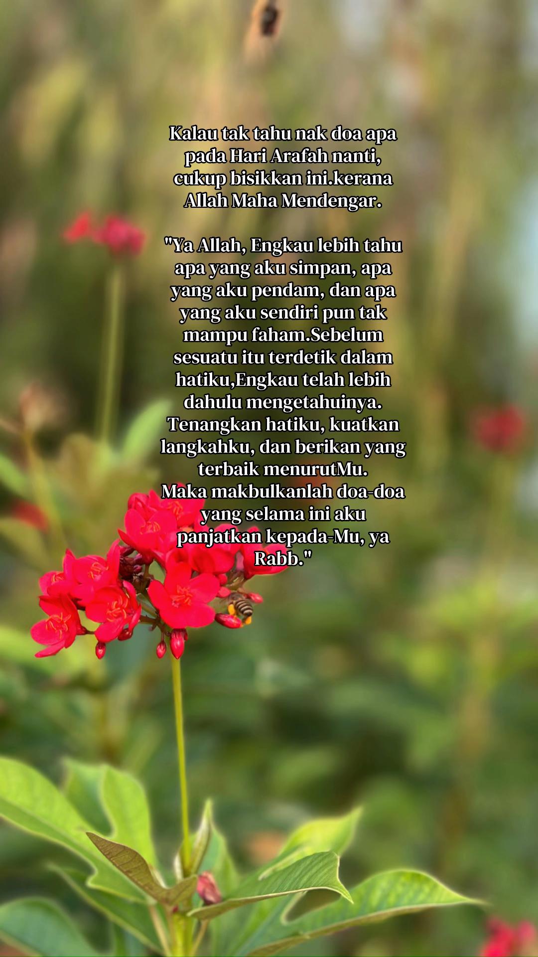 @Dewie Sam🌷