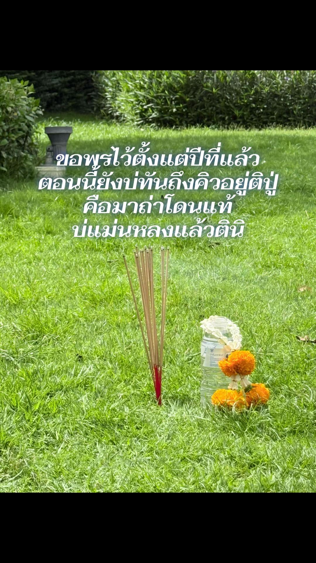 @rabbit_2122