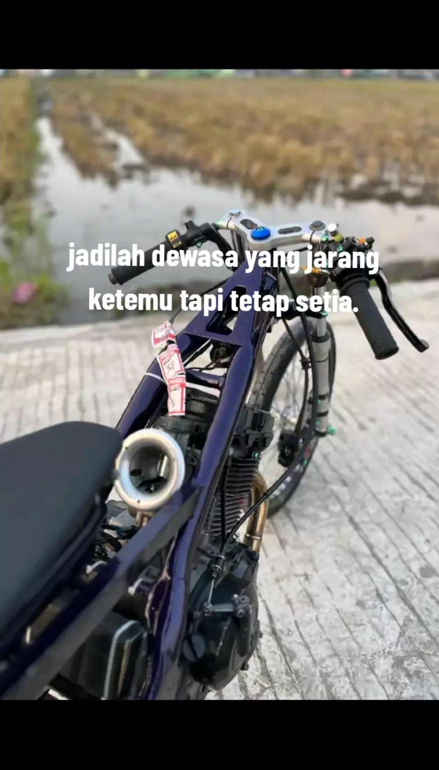 @Splash purple