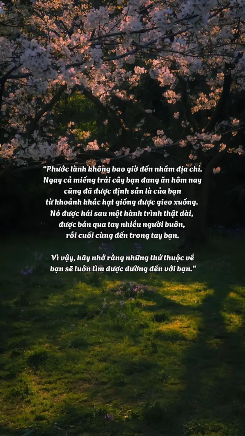 @hạt giống tâm hồn🌱