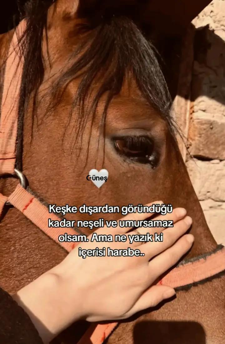 @☪üneş