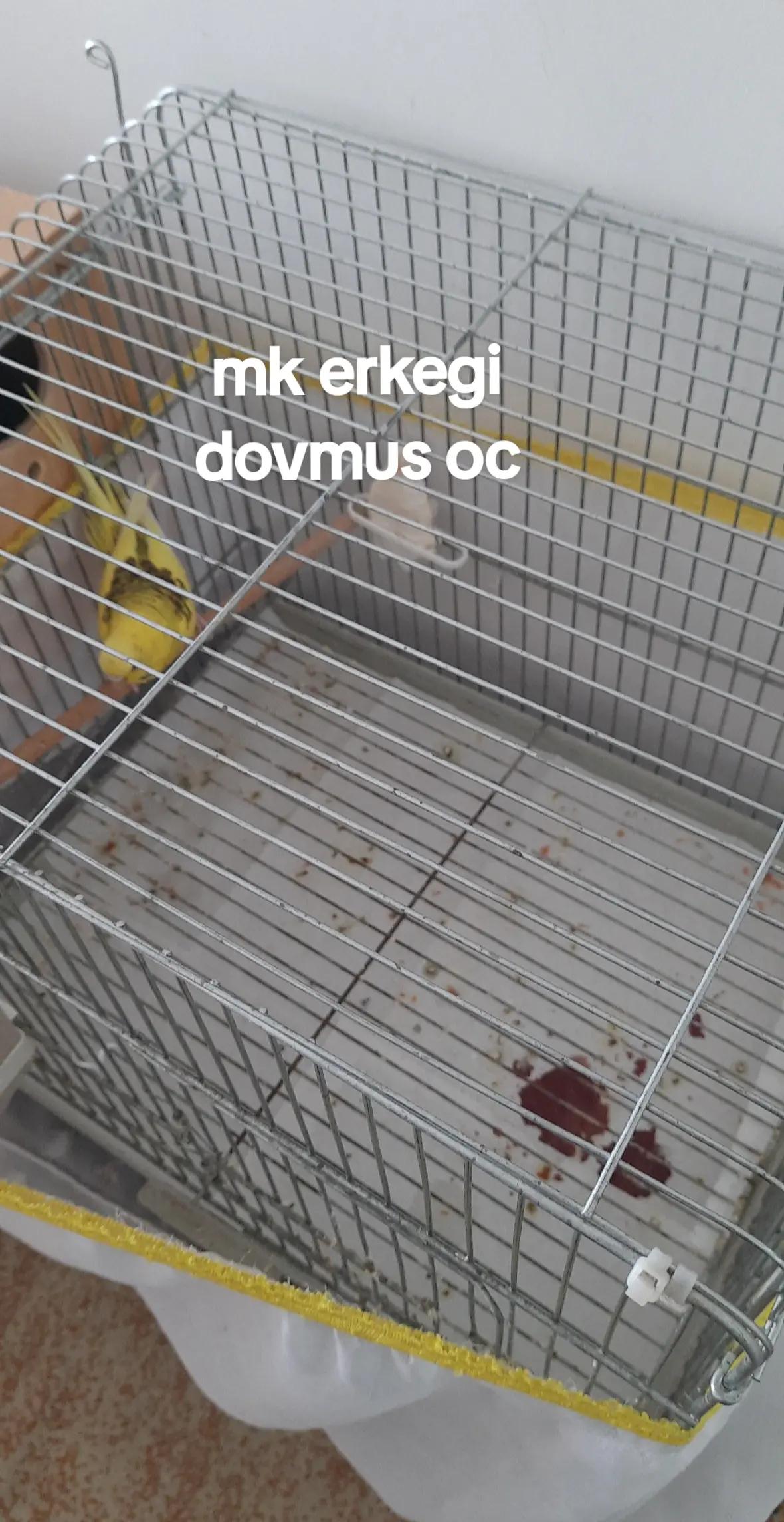 @DRAXUS