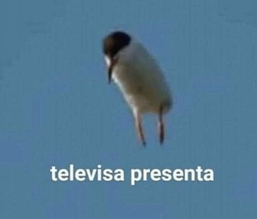 @Vikki MC