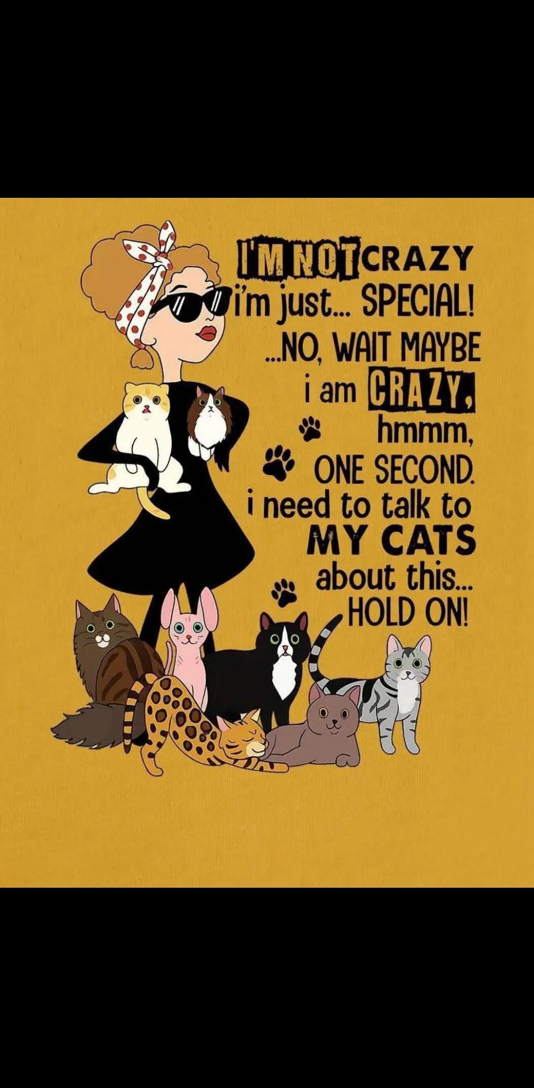 @Lisa C 🐱