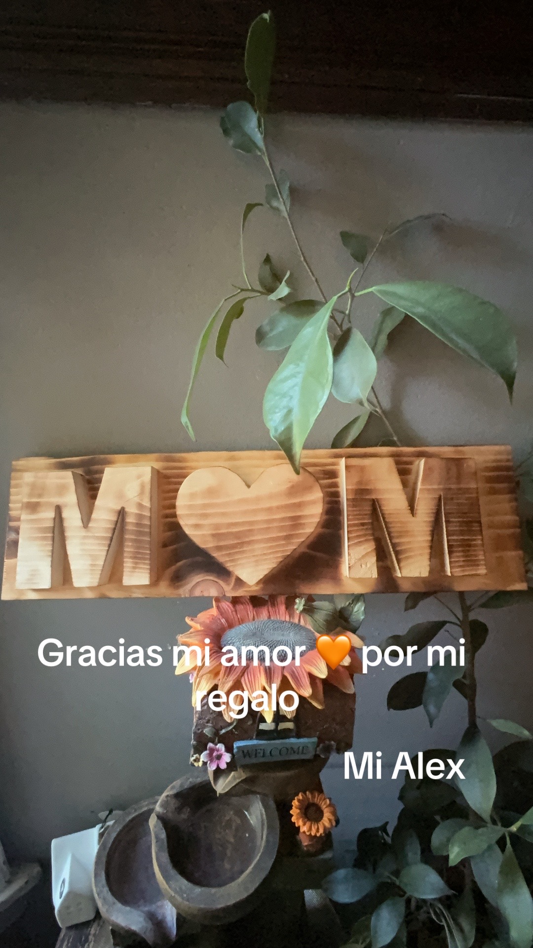 @Sol