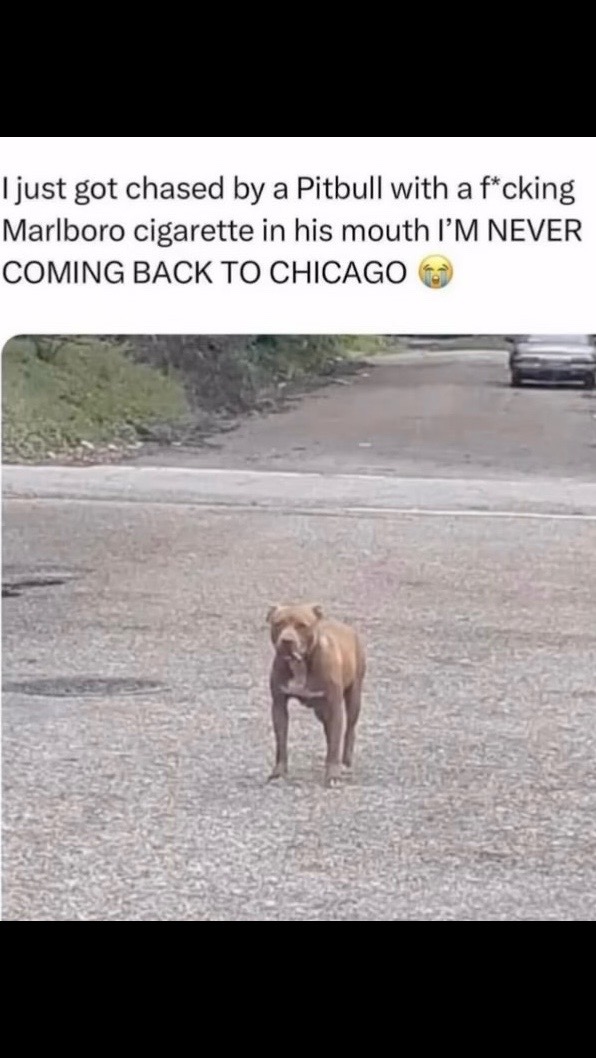 @Javi