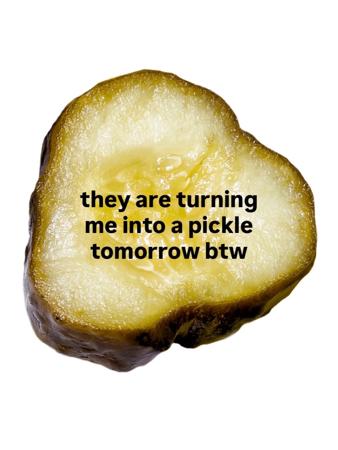 @OH SNAP! Pickling