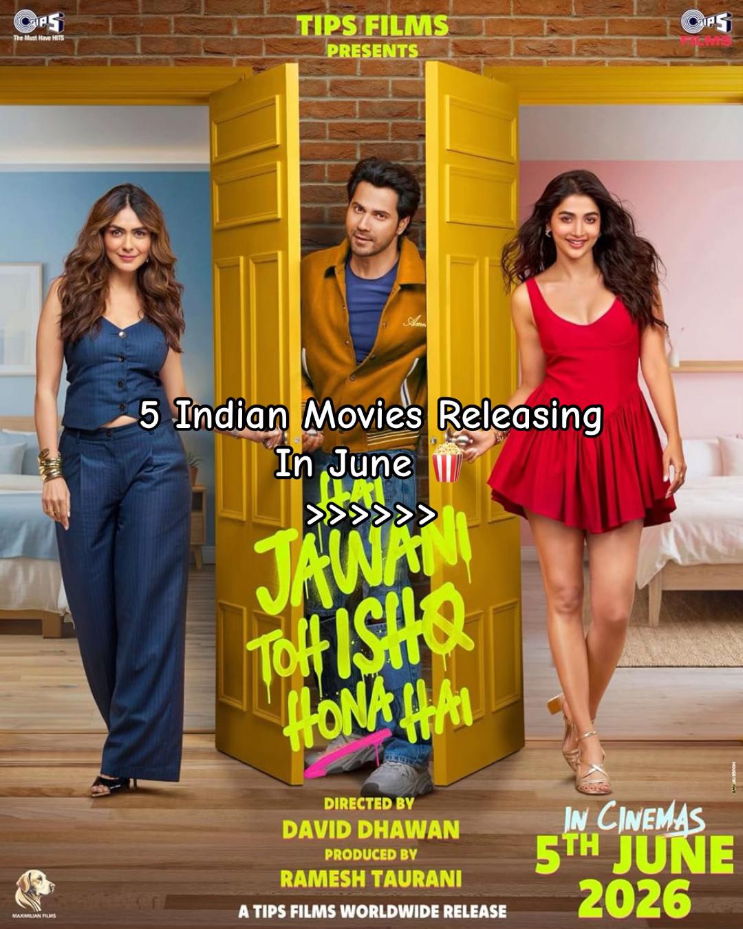 @The Indian Cinema Junkie