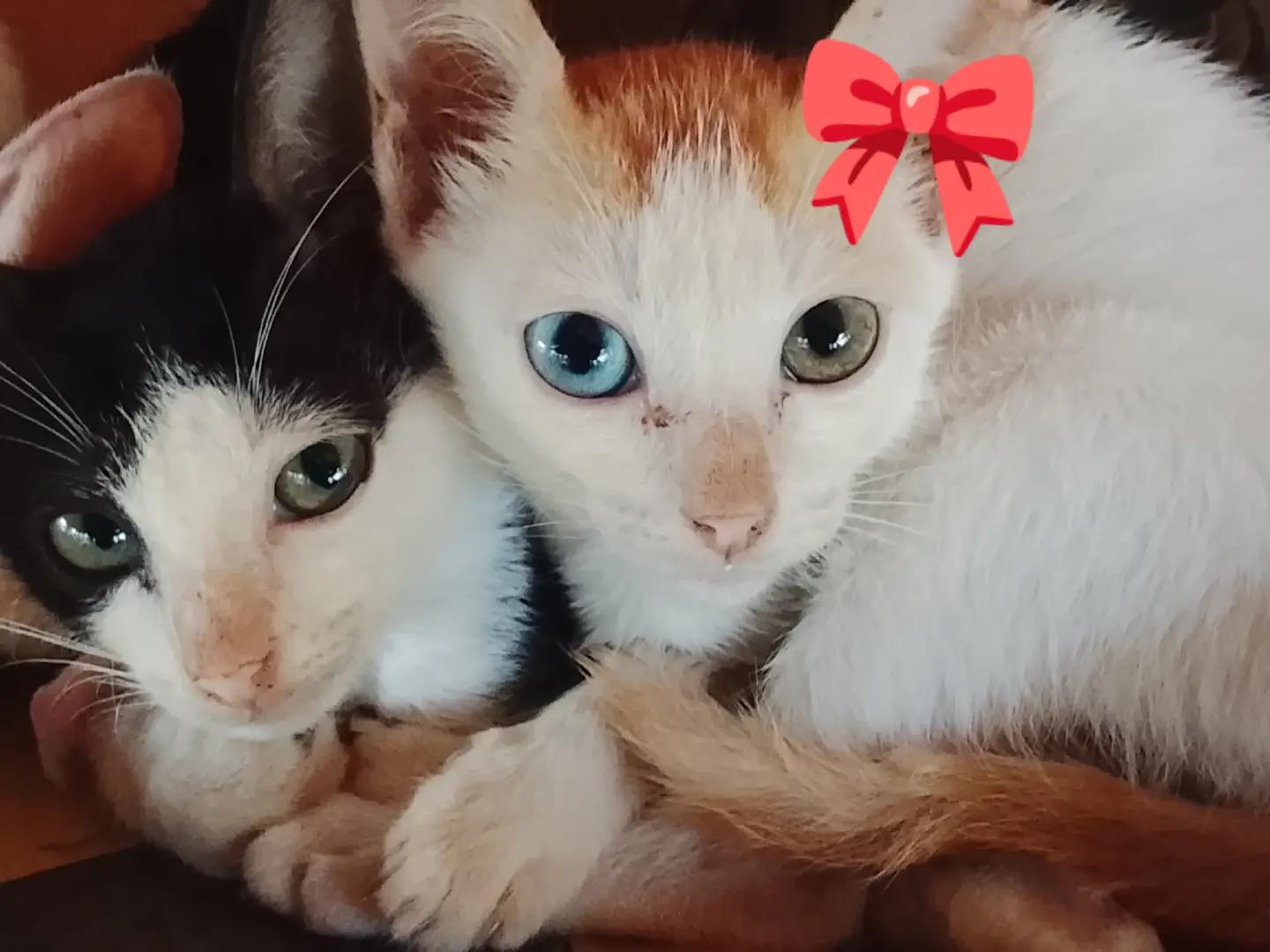 @Simplyme_♡