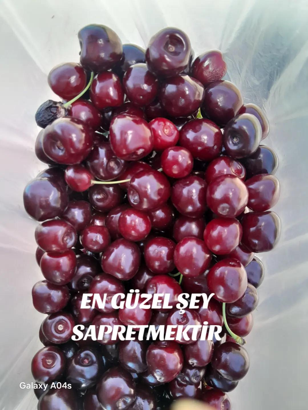 @Hasan Yılmaz
