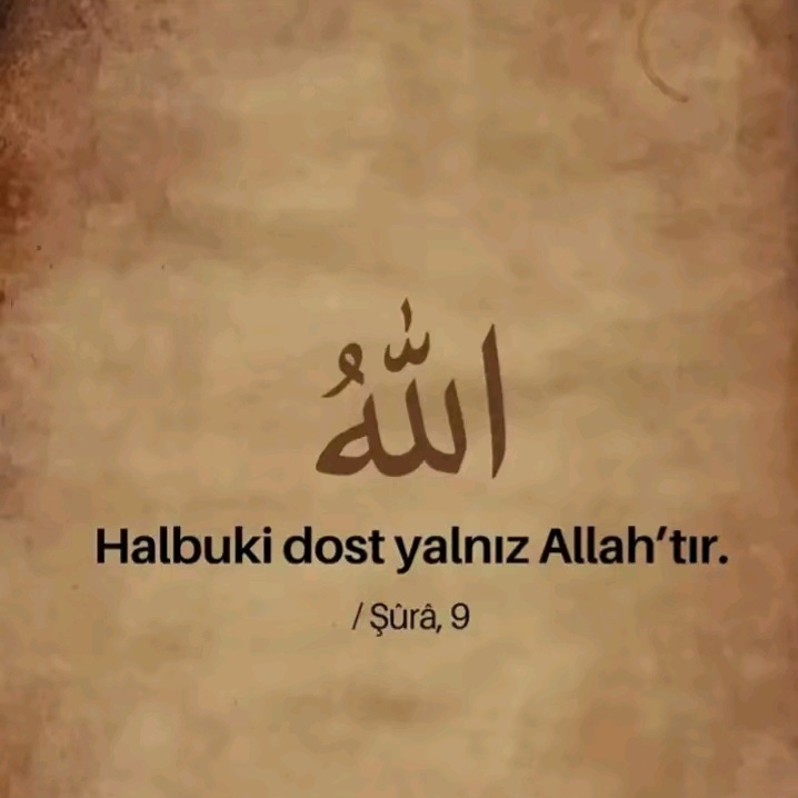 @73Ayhan☆