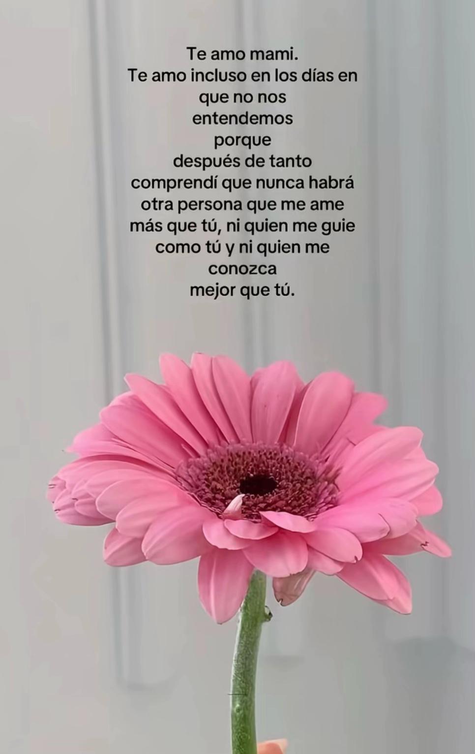 @Crayoli R