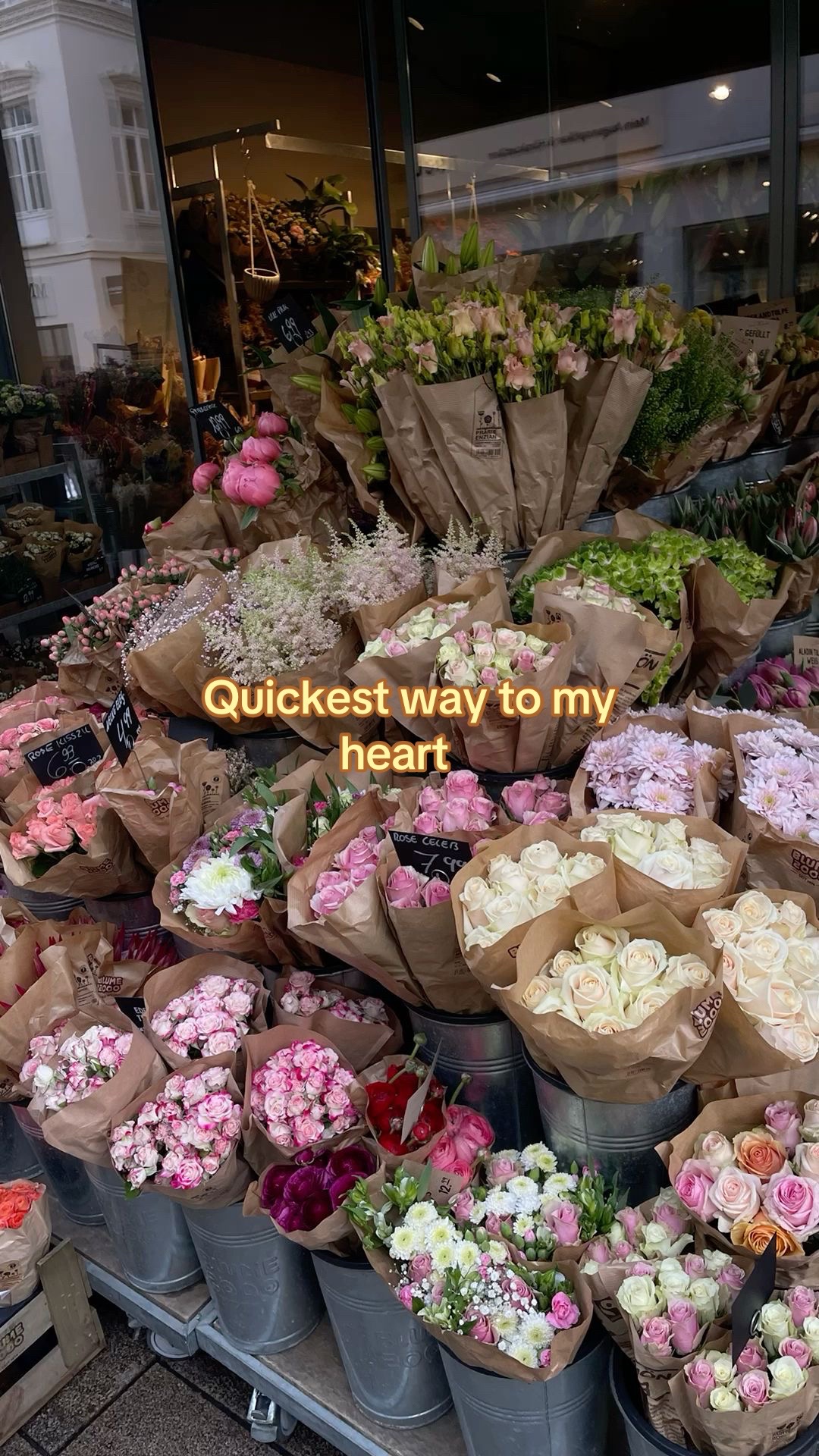 @🌸𝐸𝓂𝒾𝓁𝓎 𝑀𝒶𝓇𝒾𝑒🌸