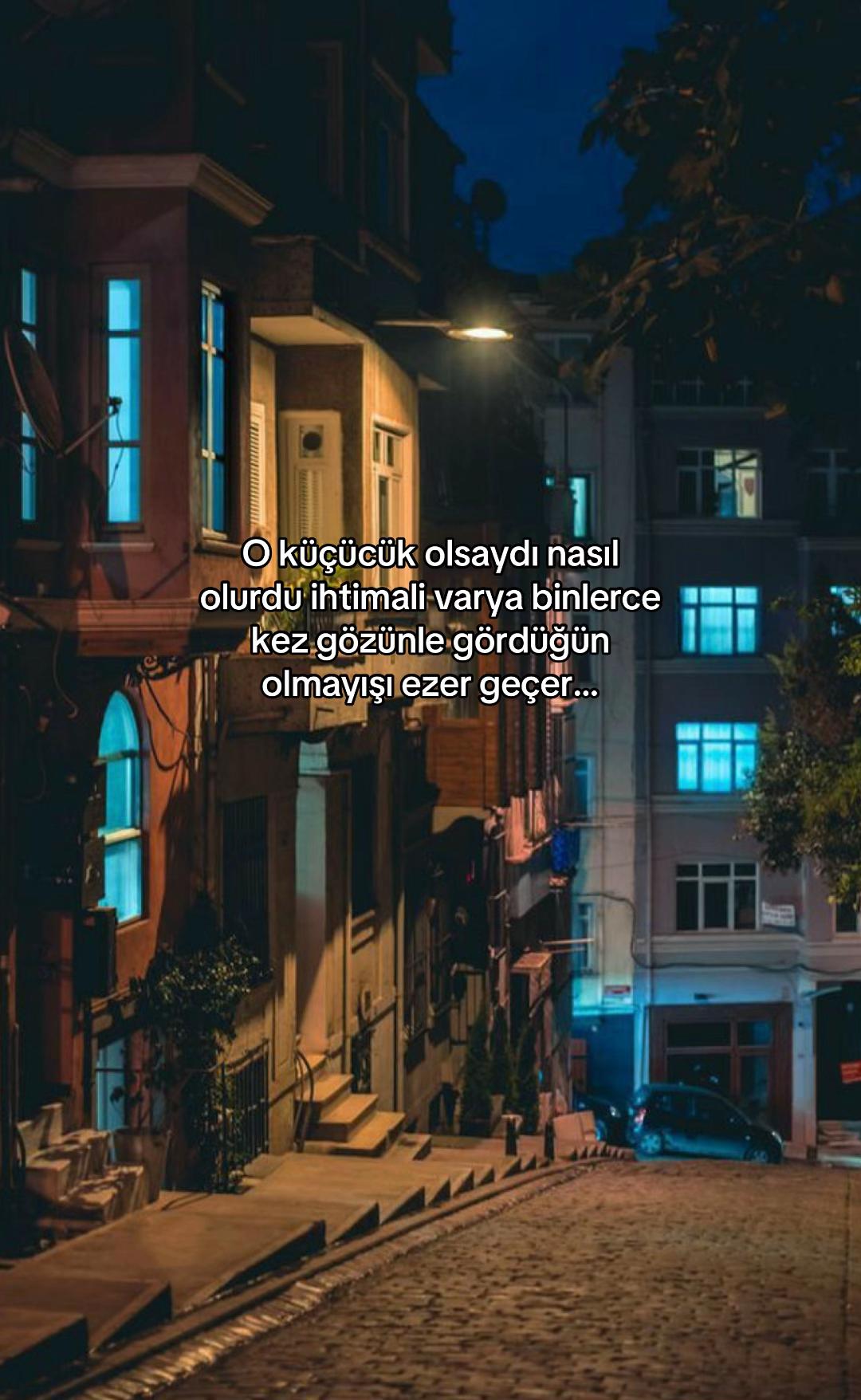 @seviyorgibiydin24