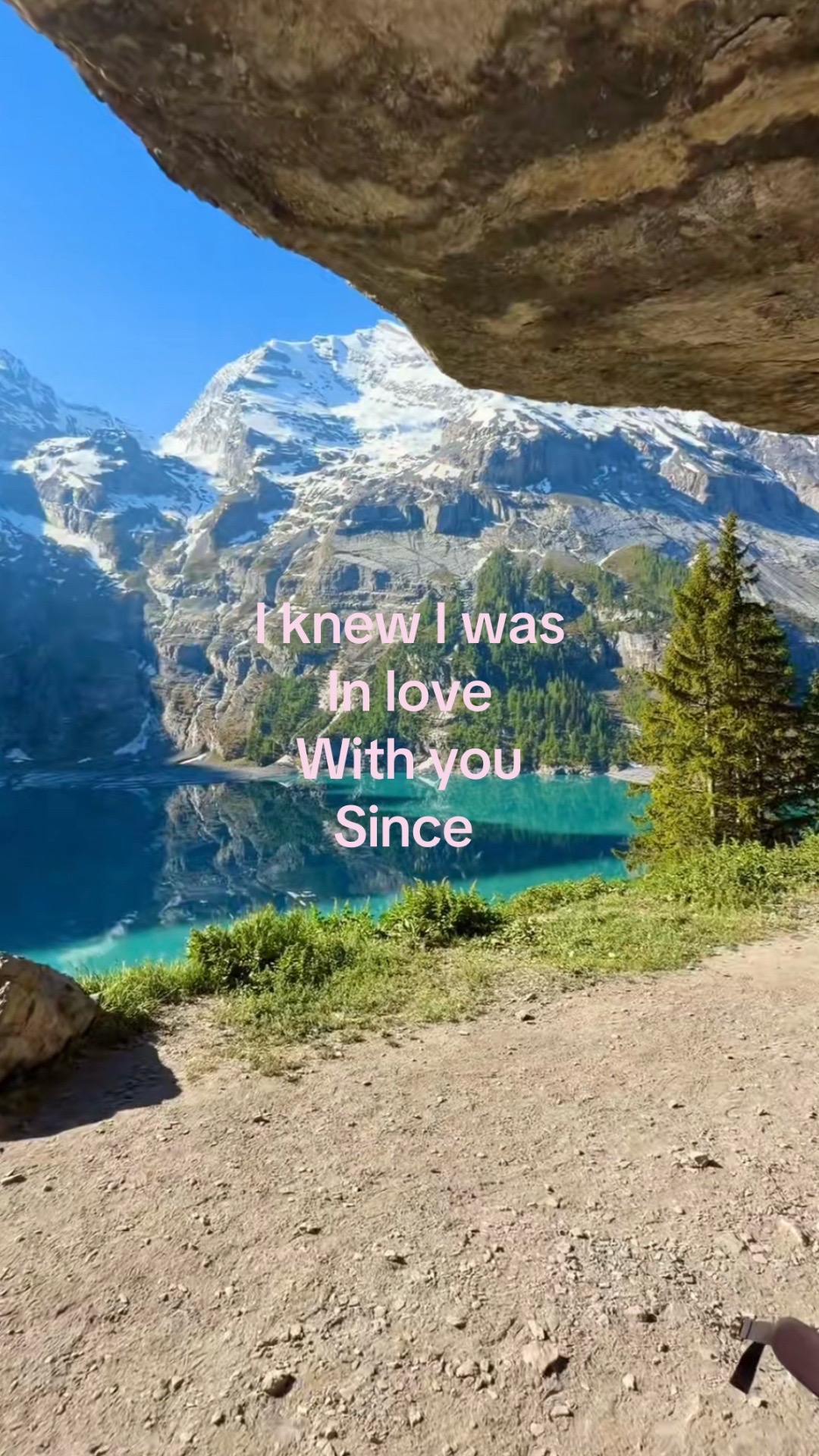 @vinsucx
