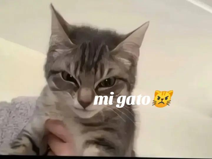 @Nanami 💕