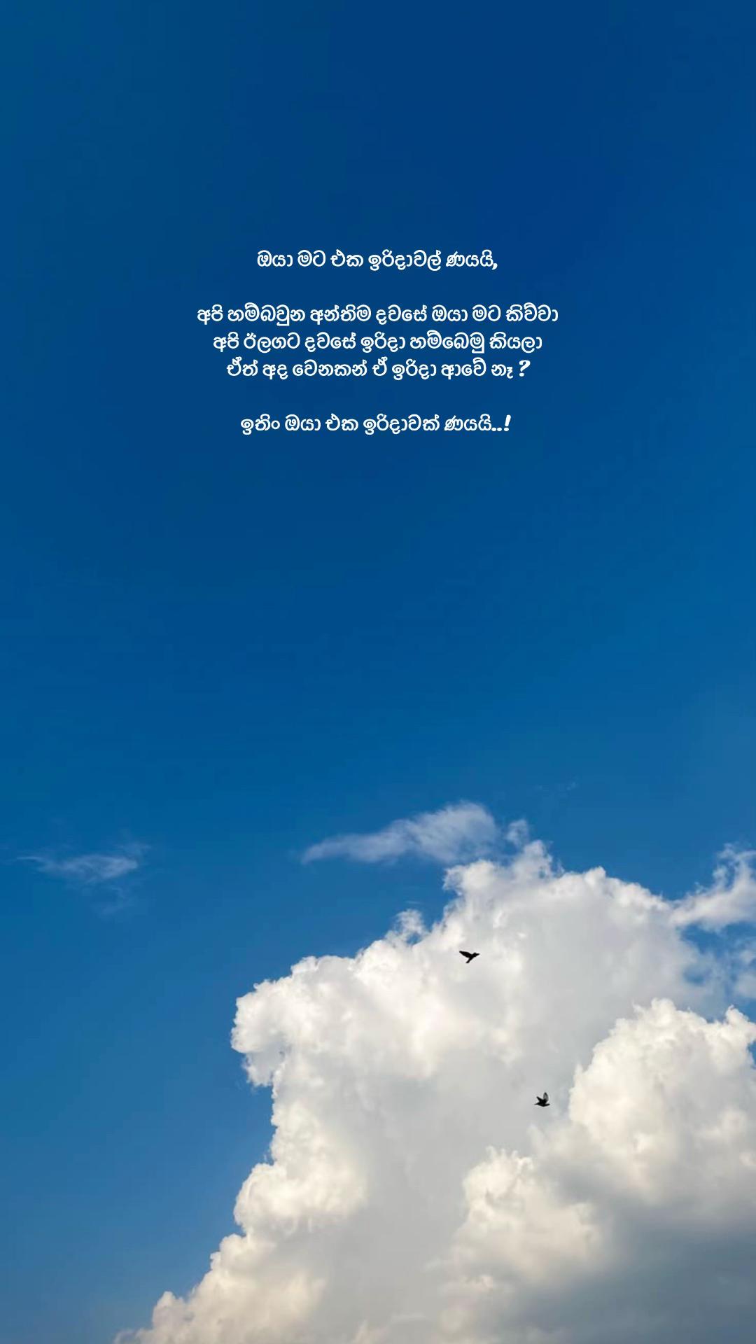 @Feroh 🧸