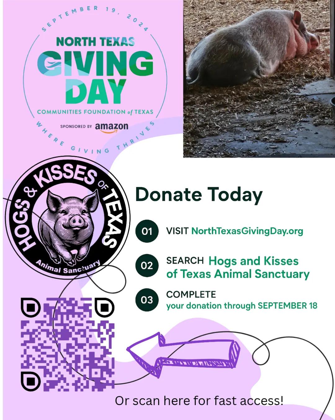 @hogs&kissestx
