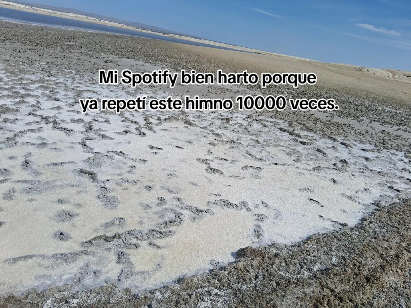 @Shirley Ruiz
