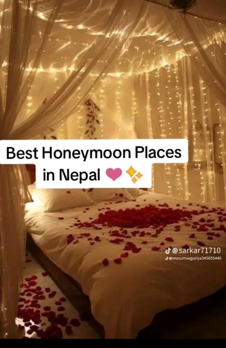 @puja Chauhan ji 🥀🥀😘