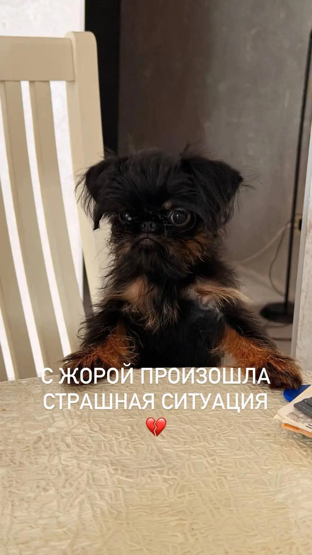 @Тгк aminabliaok
