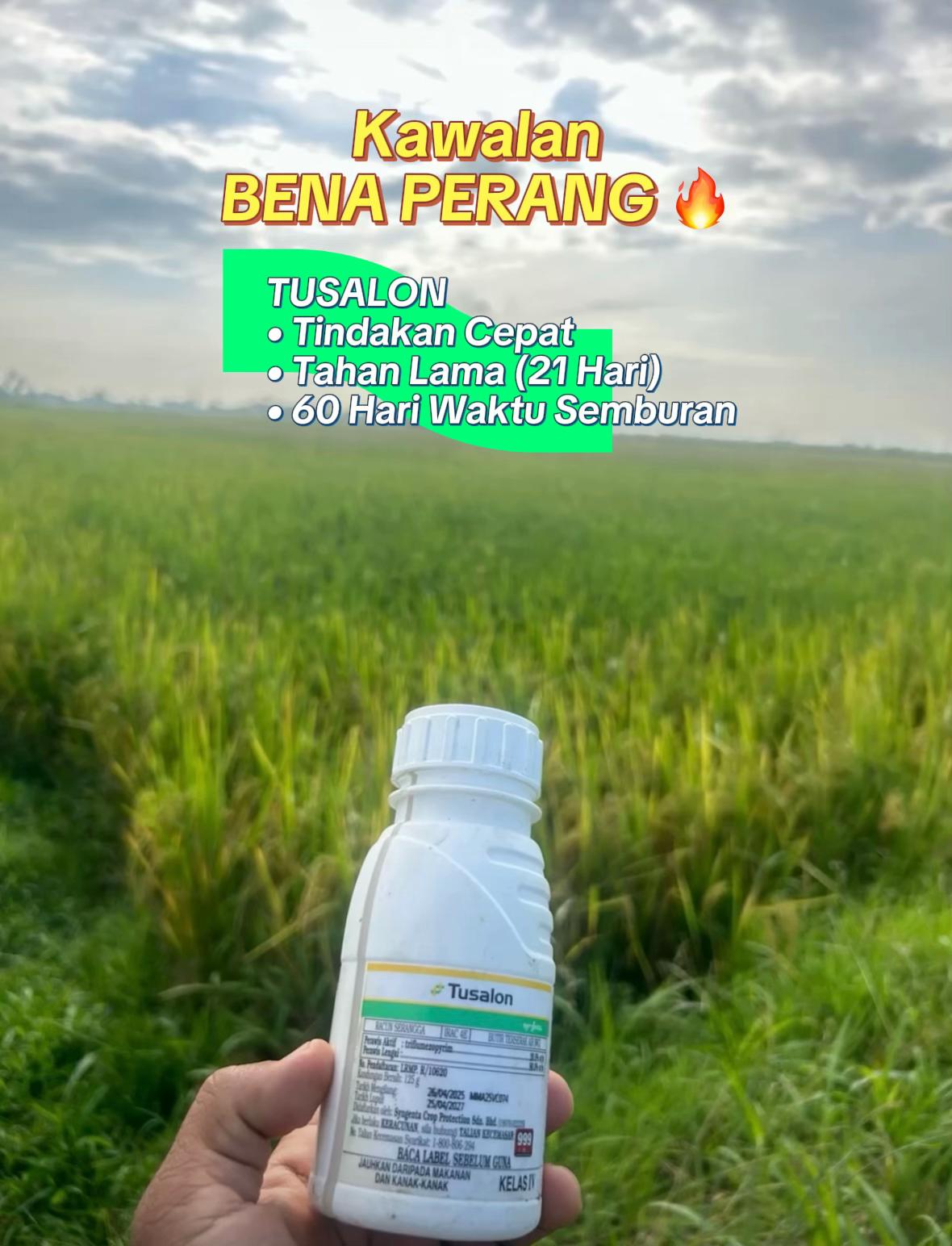 @CY Agriculture