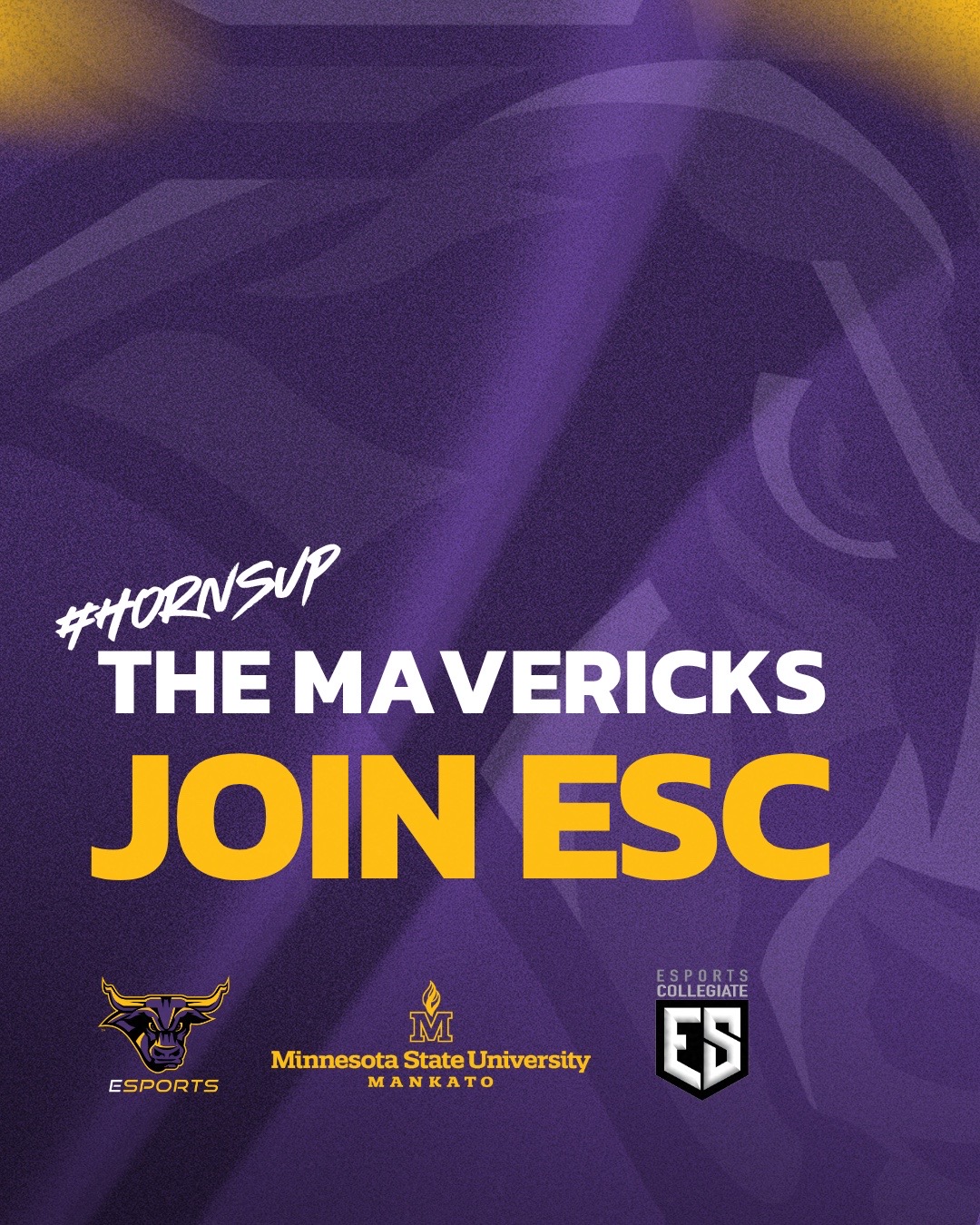 @🟪Maverick Esports🟨