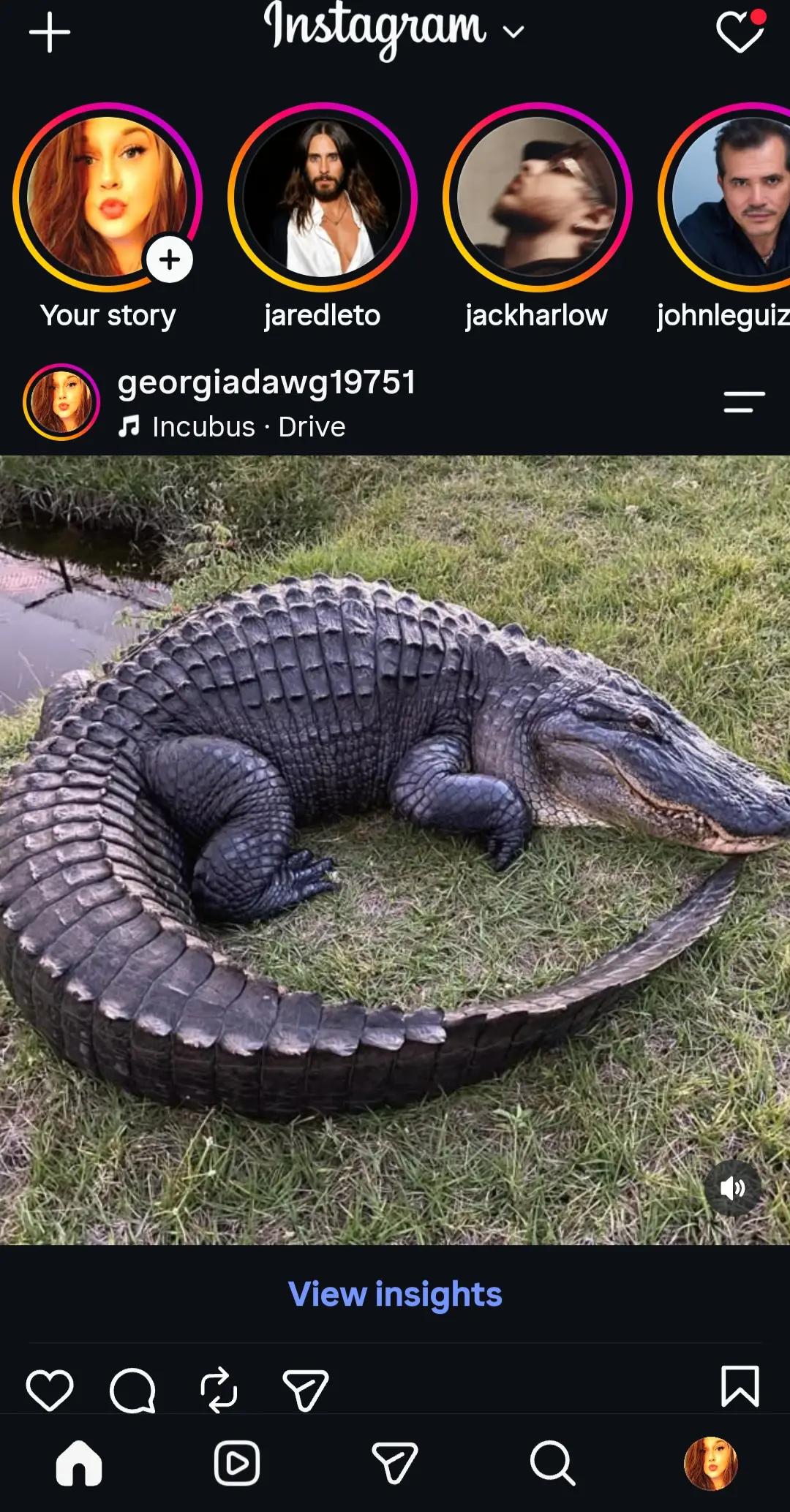 @Georgie Calvert