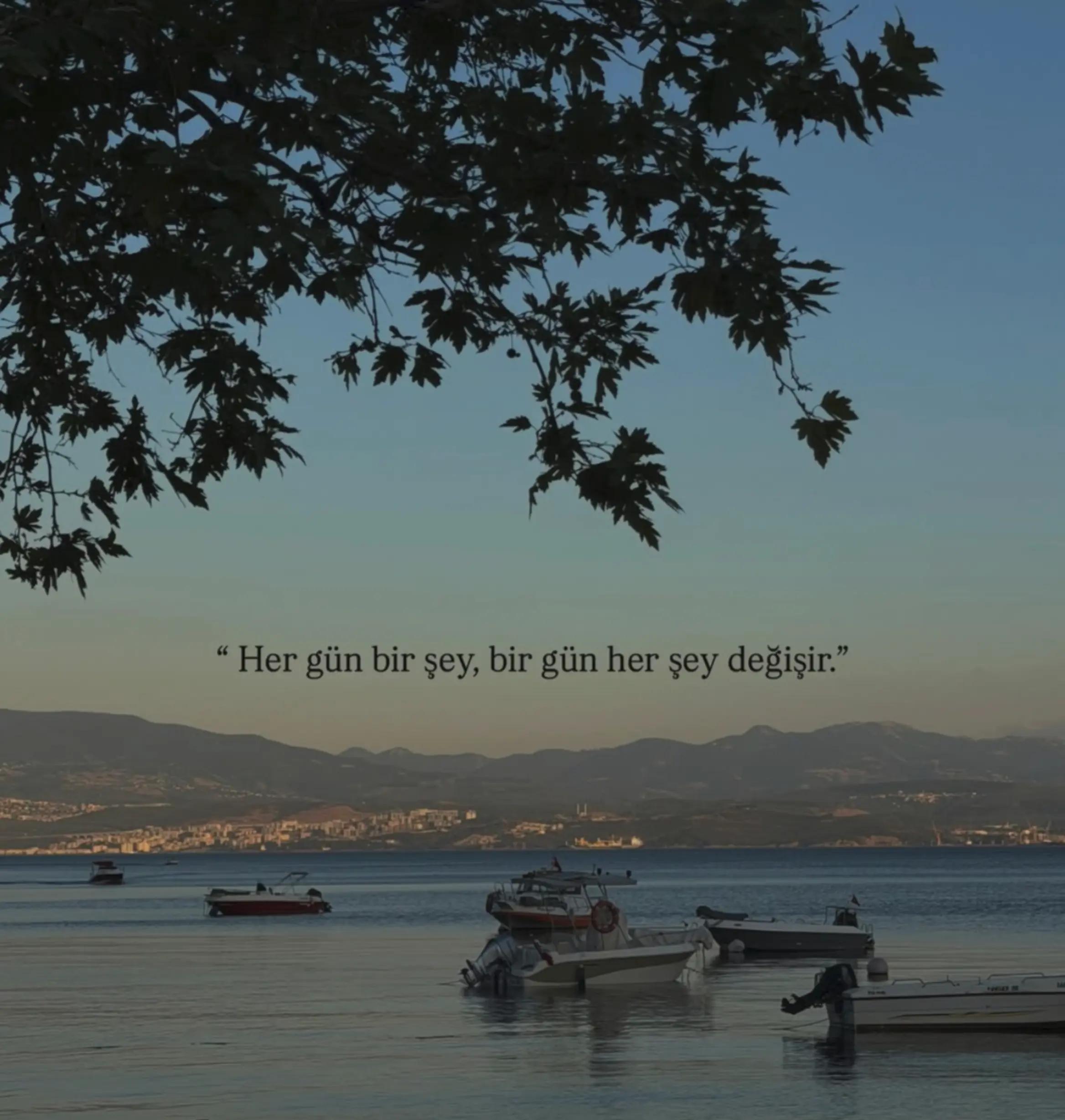 @Ceren Şentürk