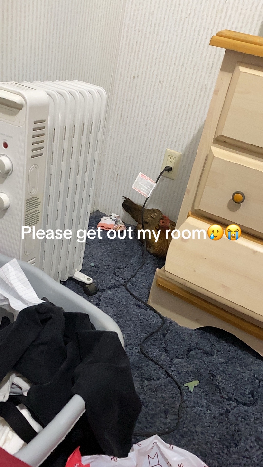 @Mimi