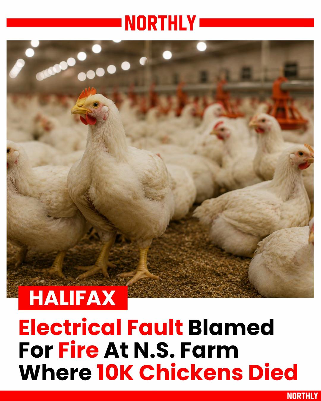 @northlyhalifax