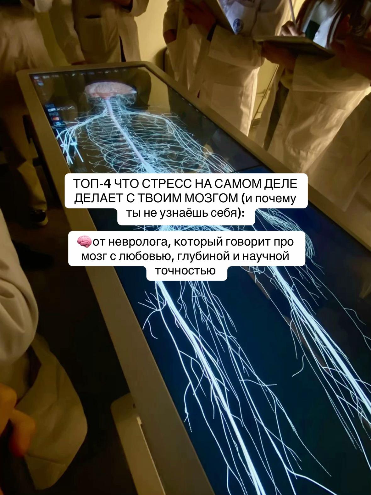 @kamila.neuro