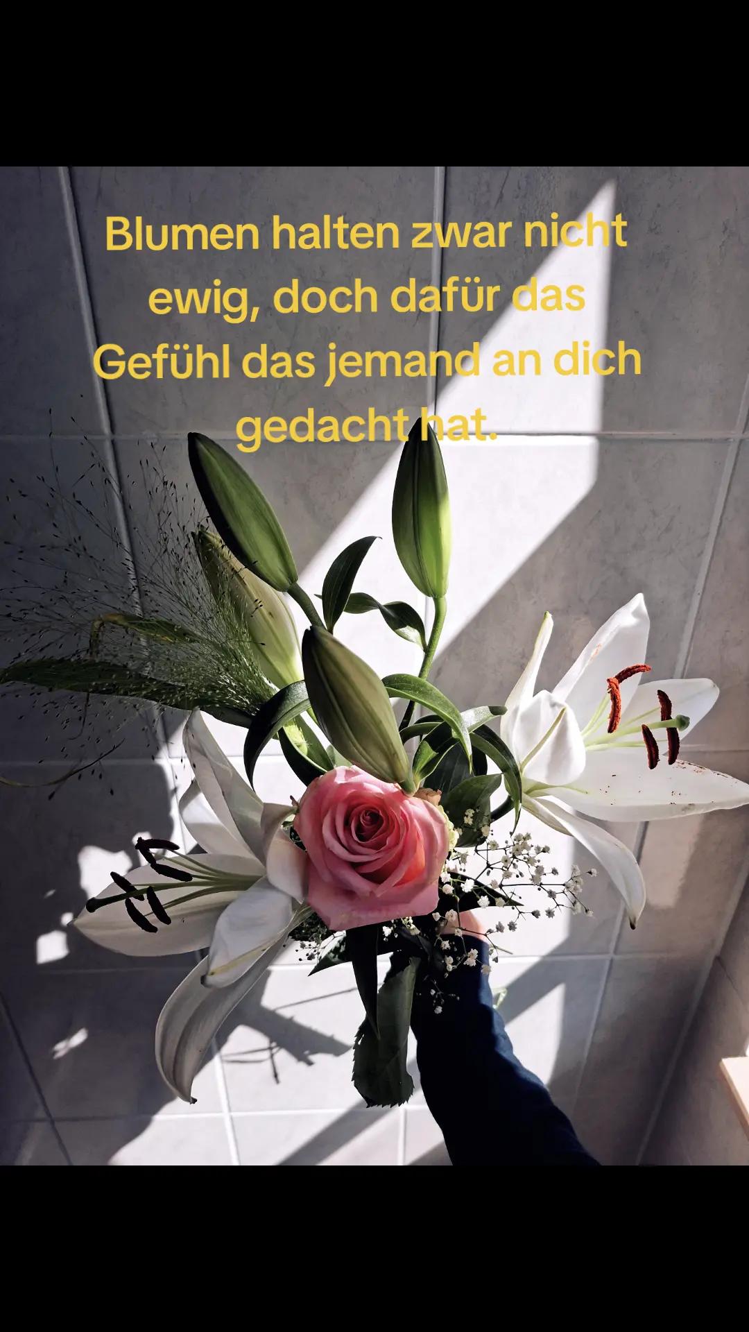 @🌸