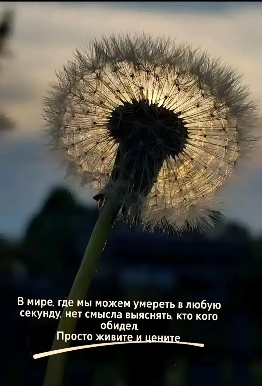 @smart_mom_anapa