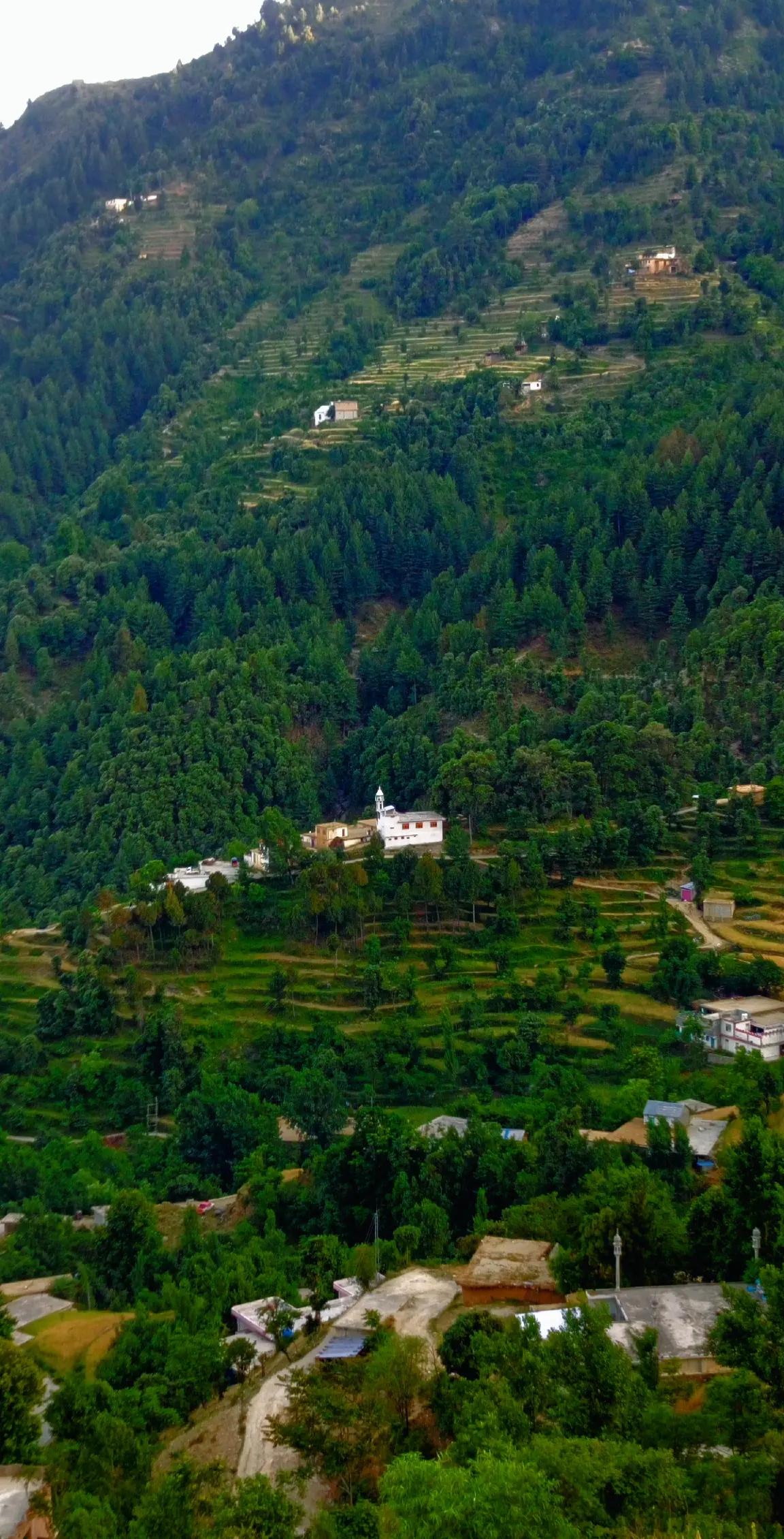 @🌲غر سنے 🌲