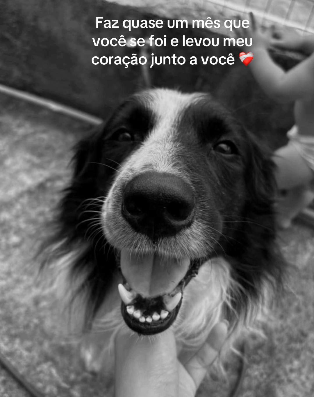 @Gabrielly Gabriel
