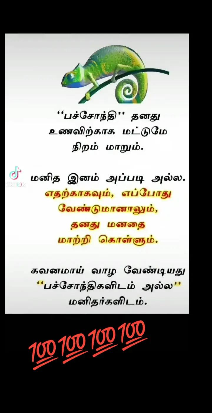 @user35065586394432