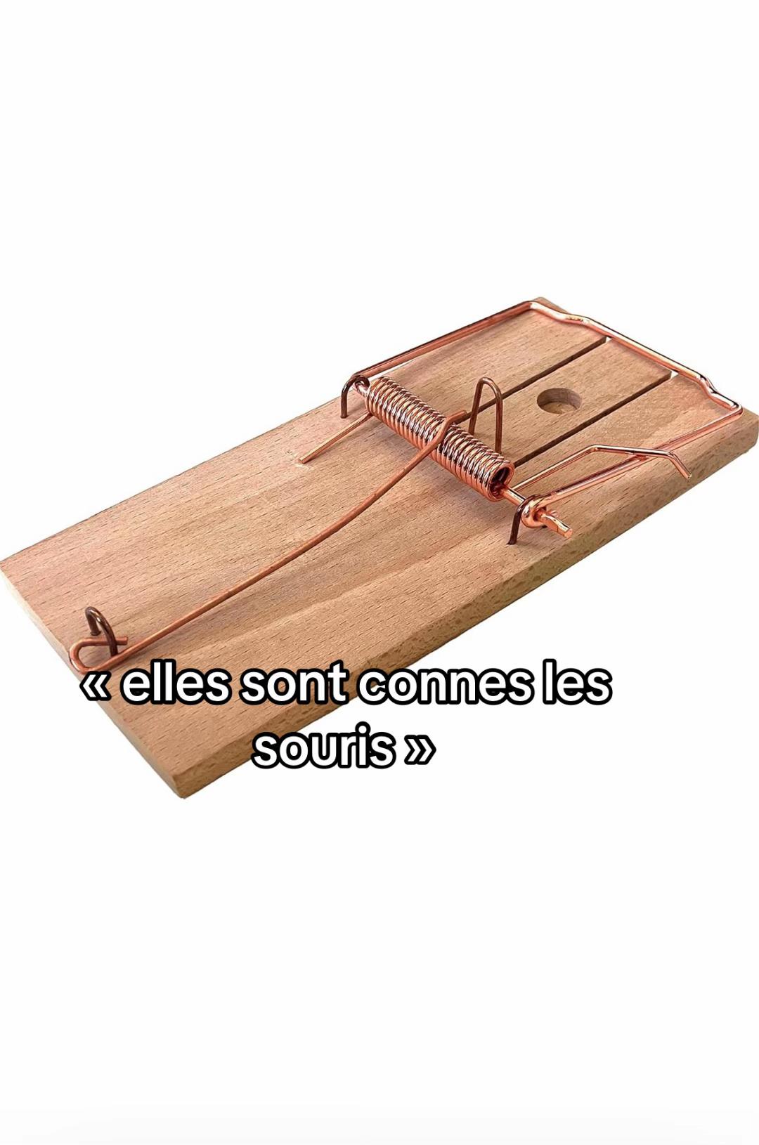 @ines🌟