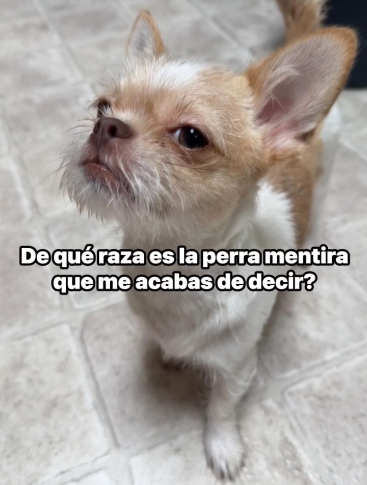 @Carlos Alberto