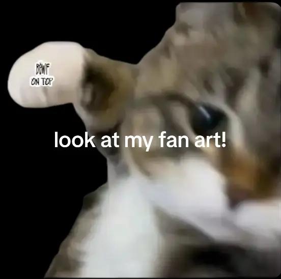 @cookie