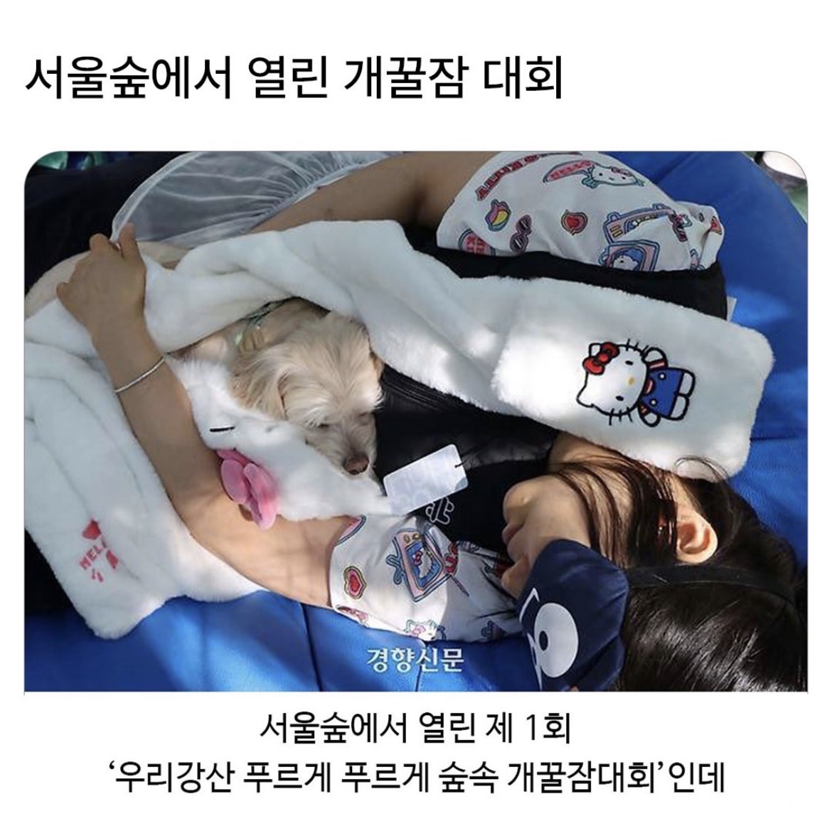 @로이젤