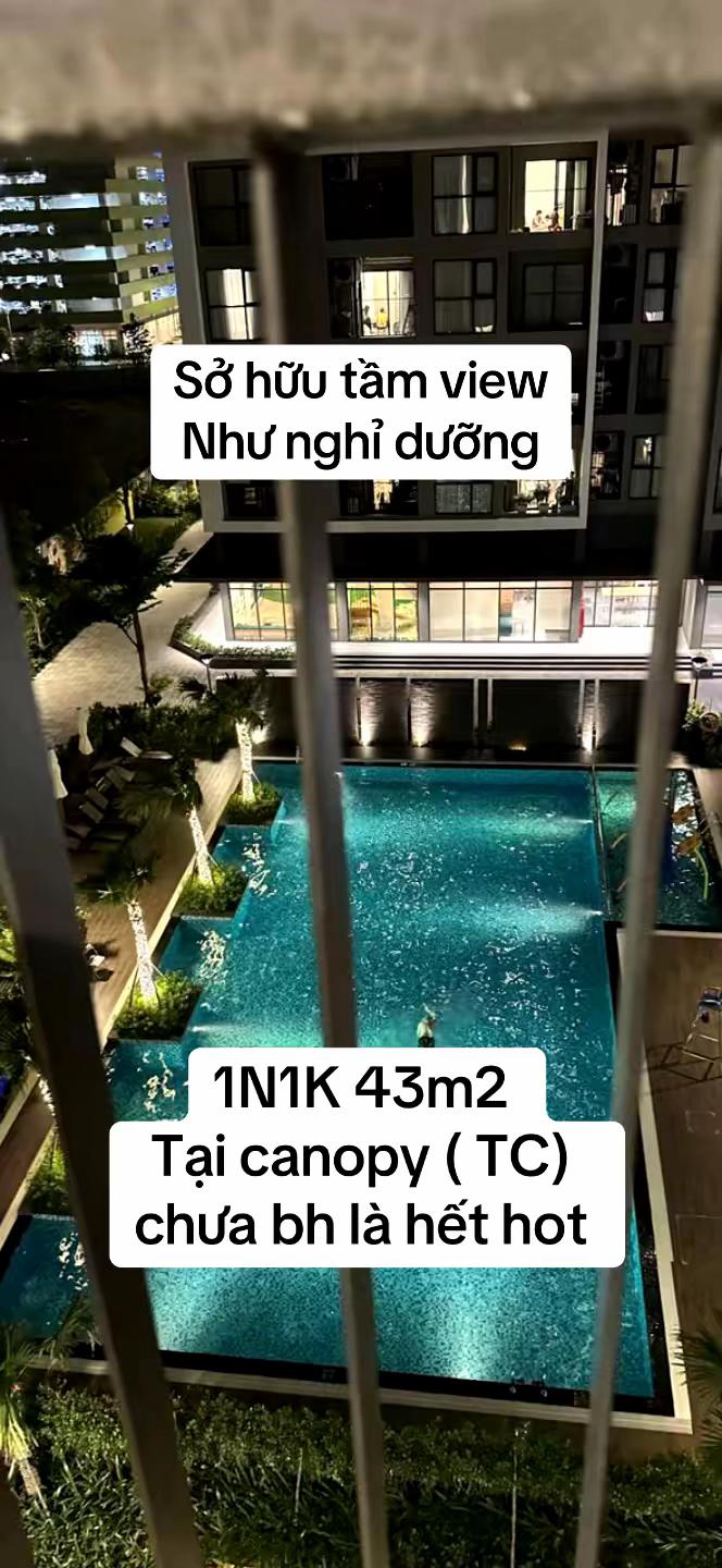 @Hằng giờ môi giới