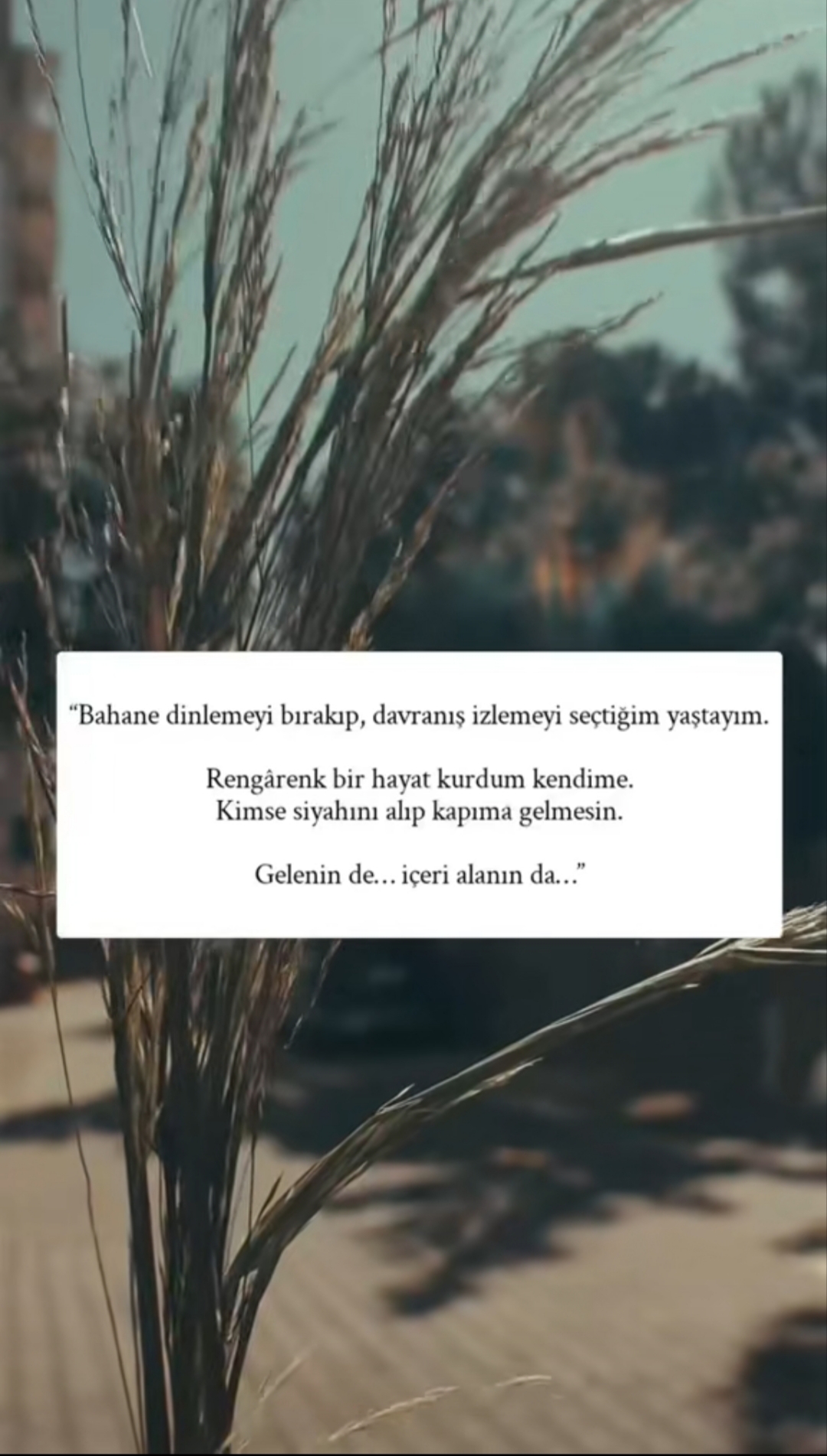 @Nevin Kuytak