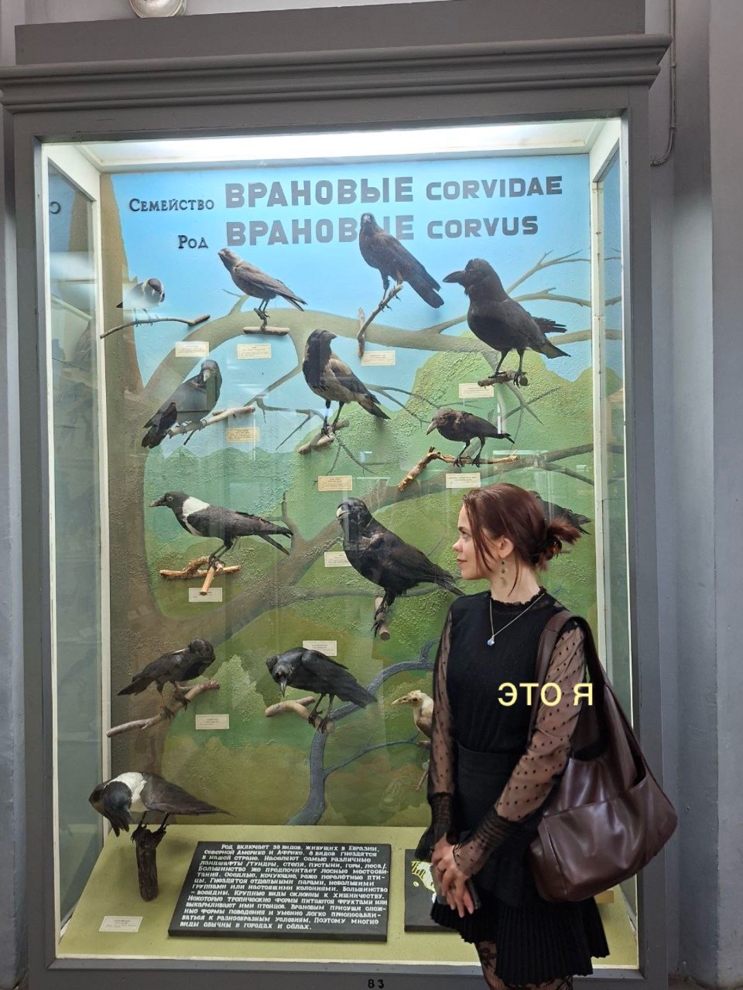 @Упырина🦇🍂🎞️