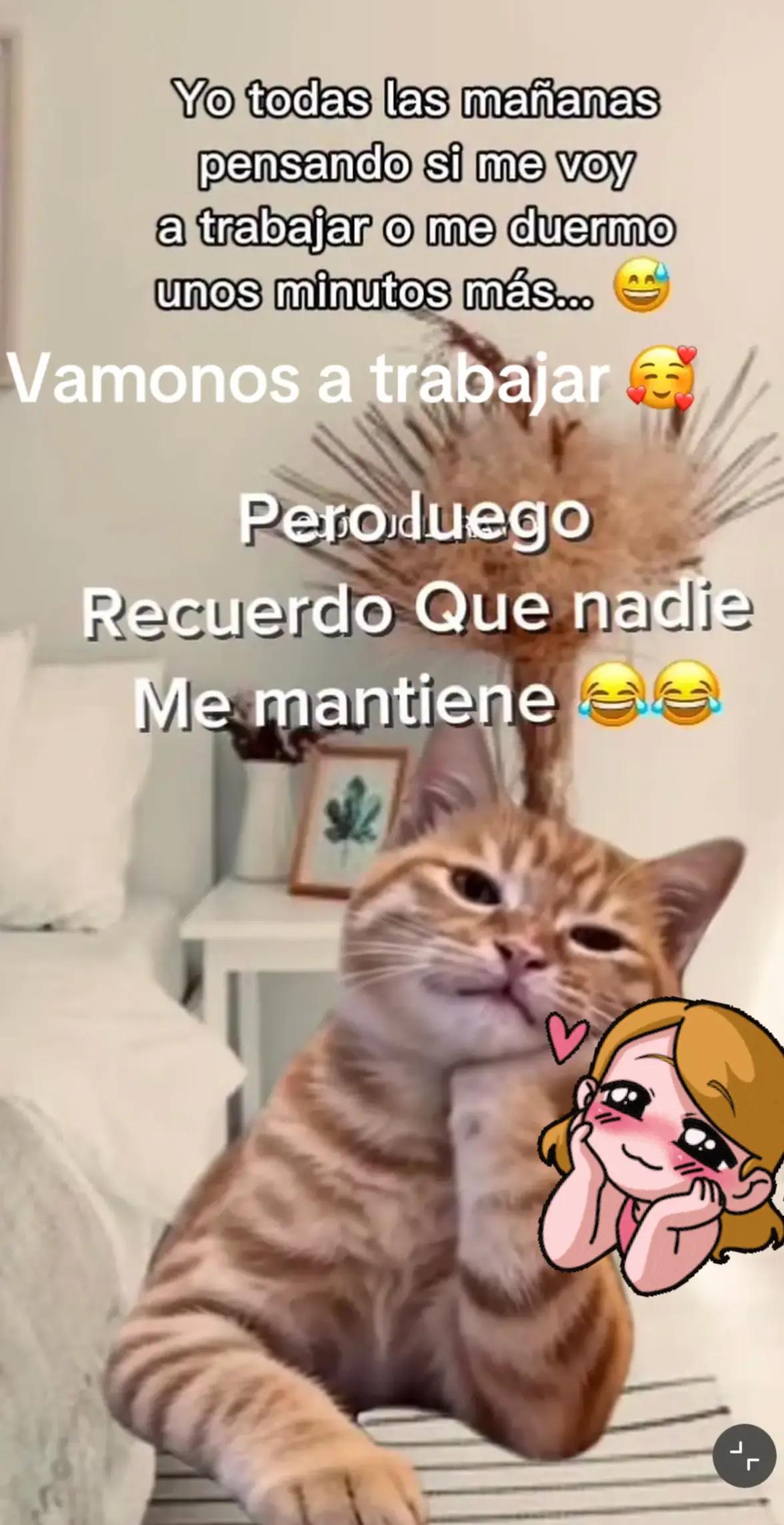 @🌹🦋lindaflor502🌹🌷🦋