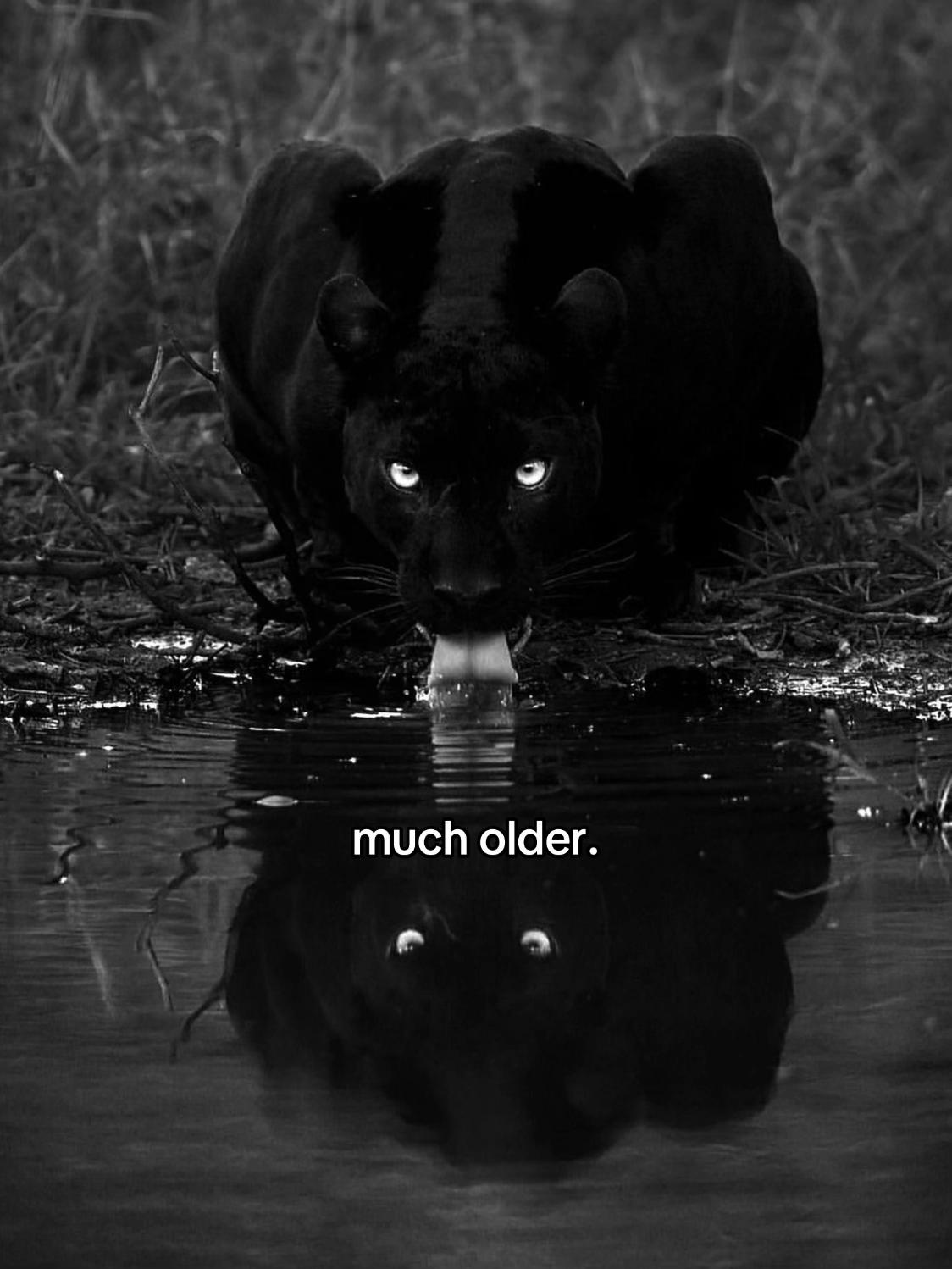 @clickerᵗᵐ