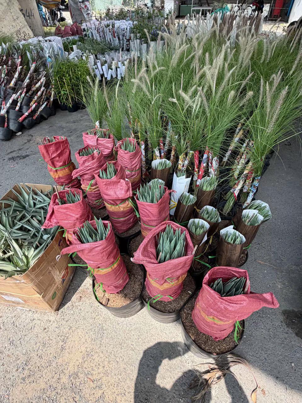 @Tiệm L&aacute; Nhỏ