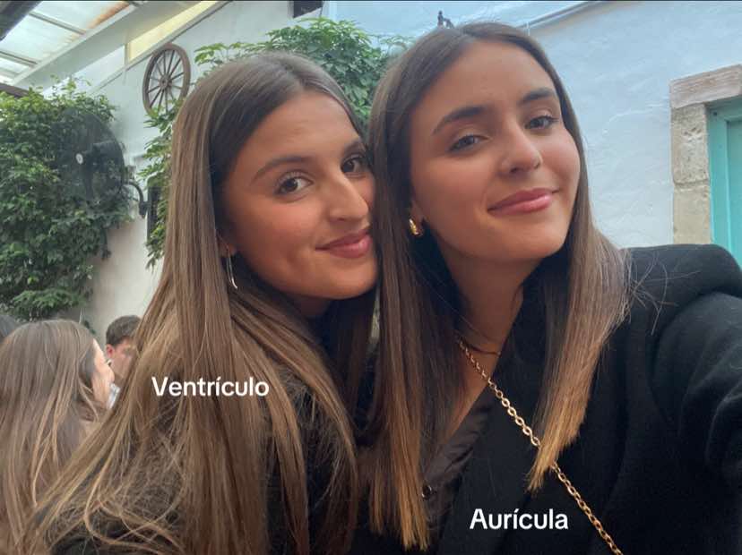 @Rocio Cañete