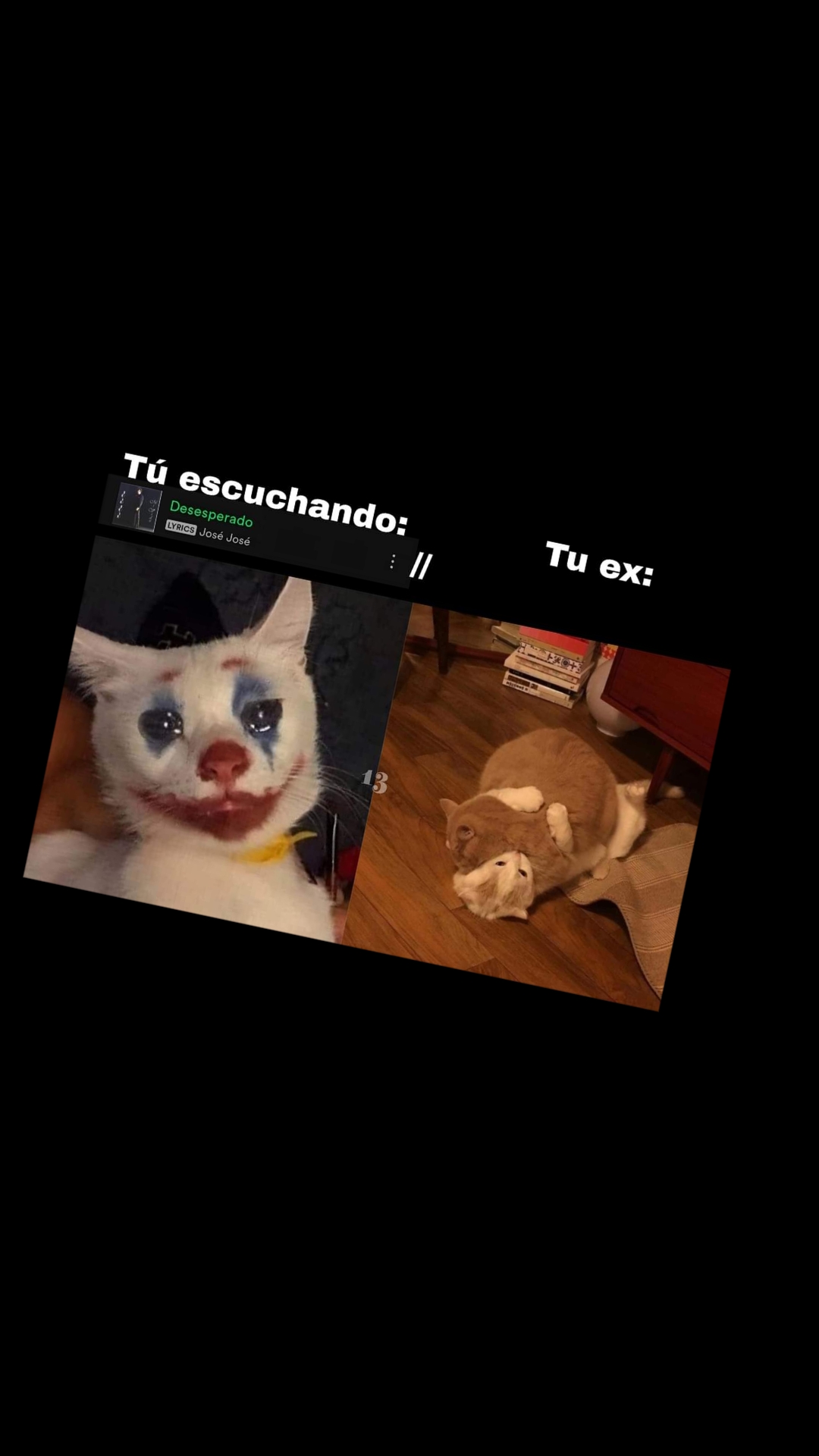 @Mireya M.T.V