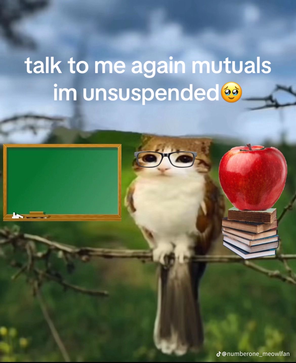 @jaccpookmessenger